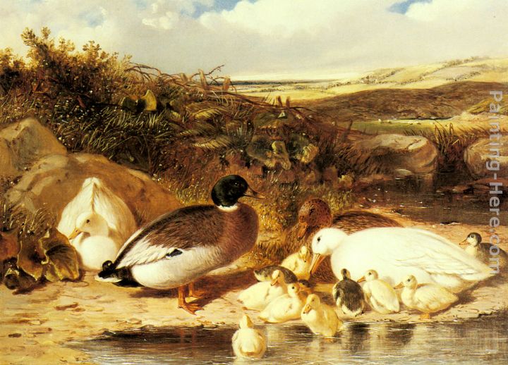 Mallard Ducks and Ducklings on a River Bank painting - John Frederick Herring Snr Mallard Ducks and Ducklings on a River Bank art painting